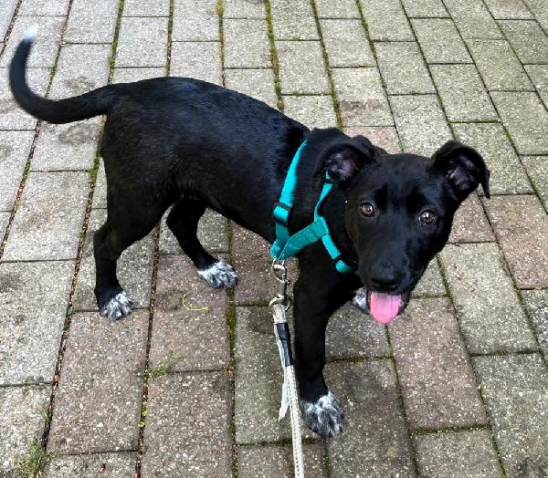 ELETTRA CUCCIOLA STUPENDA Foto 9